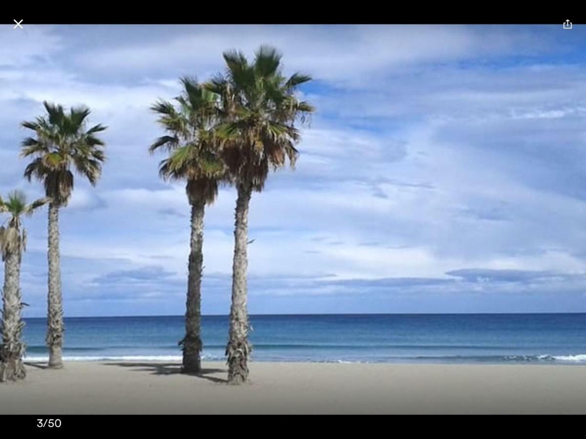 Sol Y Playa En San Juan アリカンテ エクステリア 写真