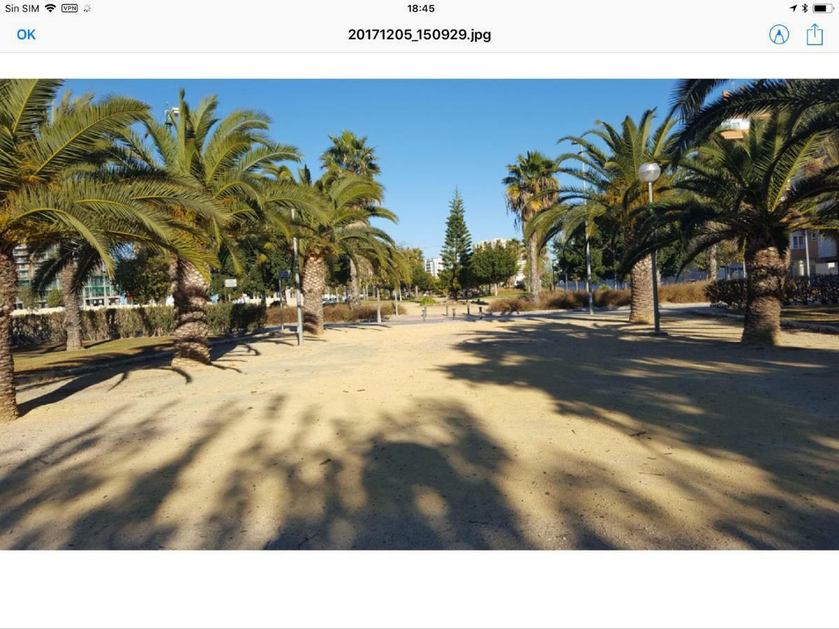 Sol Y Playa En San Juan アリカンテ エクステリア 写真